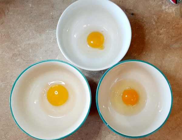 3 egg yolks in 3 separate bowls
