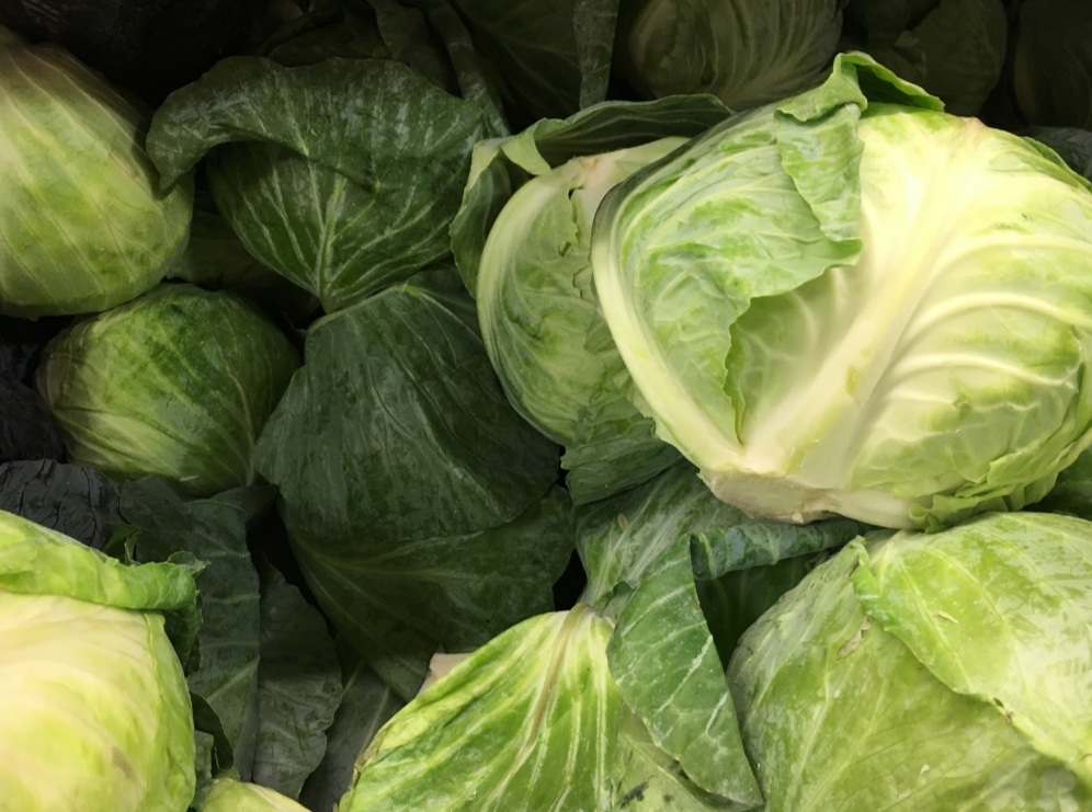 feed your chickens cabbage in moderation to keep them healthy